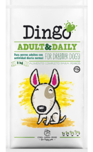 Dingo-Adult-meliana-hortanord