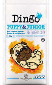 Dingo-Puppy-meliana-hortanord